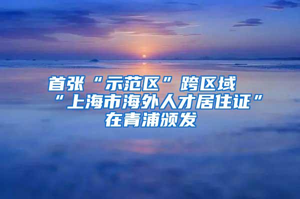 首张“示范区”跨区域“上海市海外人才居住证”在青浦颁发