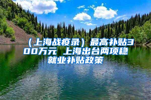 （上海战疫录）最高补贴300万元 上海出台两项稳就业补贴政策