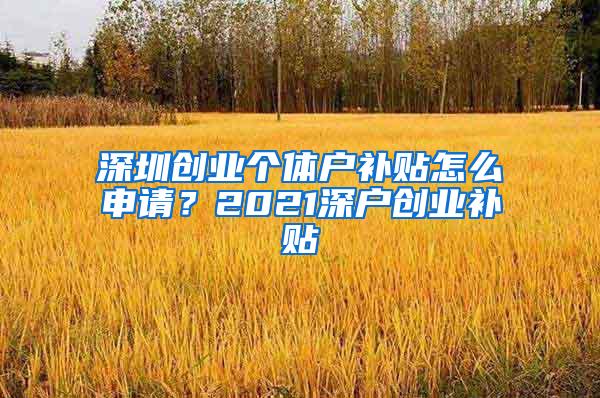 深圳创业个体户补贴怎么申请？2021深户创业补贴