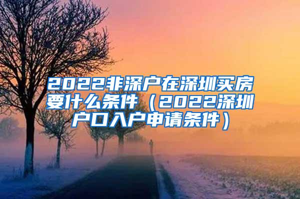 2022非深户在深圳买房要什么条件（2022深圳户口入户申请条件）