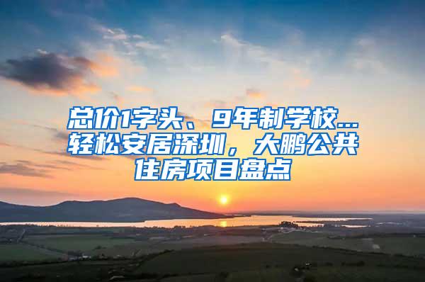 总价1字头、9年制学校...轻松安居深圳，大鹏公共住房项目盘点