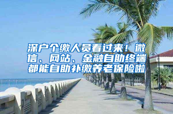 深户个缴人员看过来！微信、网站、金融自助终端都能自助补缴养老保险啦