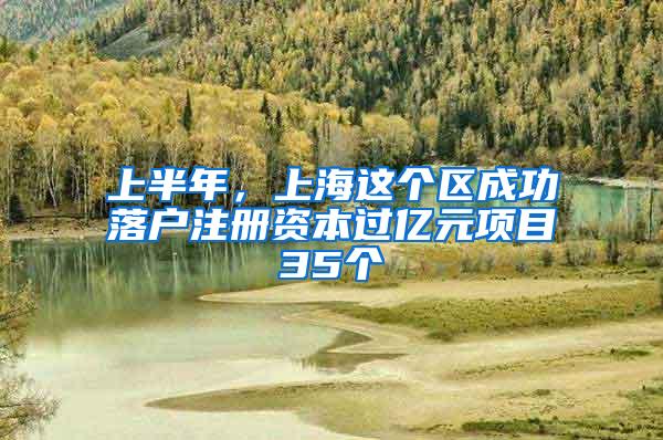 上半年，上海这个区成功落户注册资本过亿元项目35个