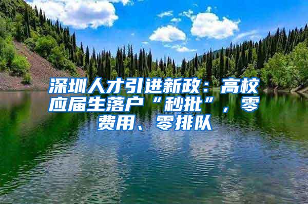 深圳人才引进新政：高校应届生落户“秒批”, 零费用、零排队