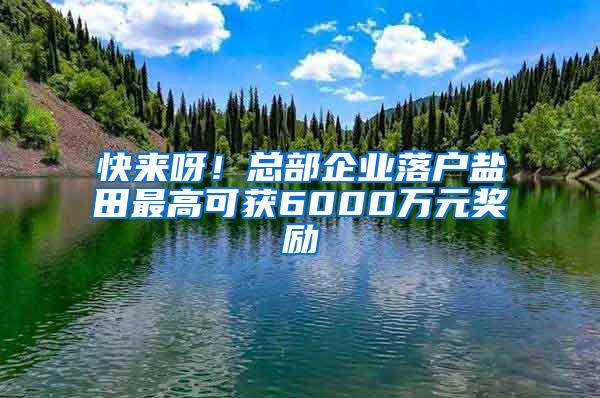 快来呀！总部企业落户盐田最高可获6000万元奖励