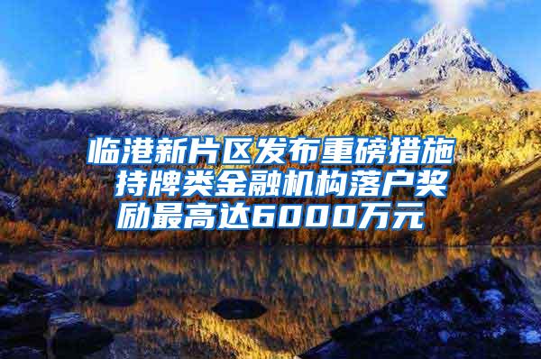 临港新片区发布重磅措施 持牌类金融机构落户奖励最高达6000万元