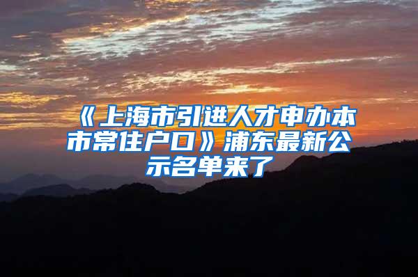 《上海市引进人才申办本市常住户口》浦东最新公示名单来了