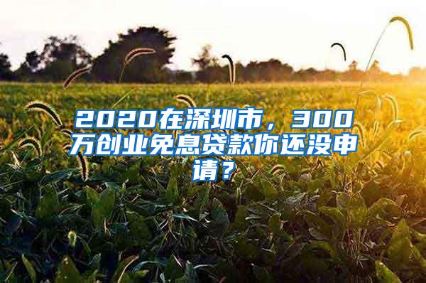 2020在深圳市，300万创业免息贷款你还没申请？