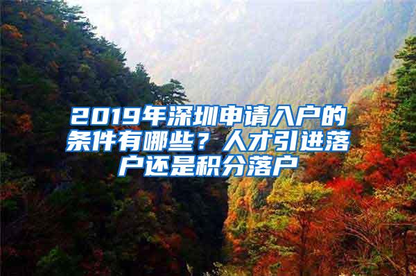 2019年深圳申请入户的条件有哪些？人才引进落户还是积分落户