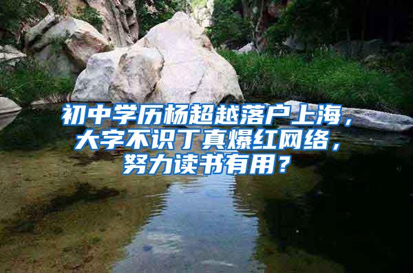 初中学历杨超越落户上海，大字不识丁真爆红网络，努力读书有用？