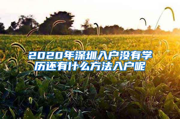 2020年深圳入户没有学历还有什么方法入户呢