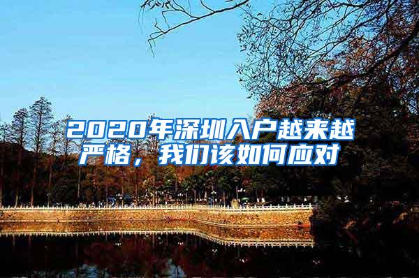 2020年深圳入户越来越严格，我们该如何应对