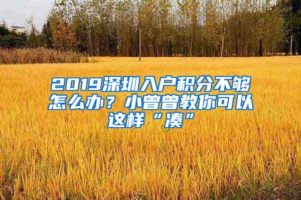 2019深圳入户积分不够怎么办？小曾曾教你可以这样“凑”