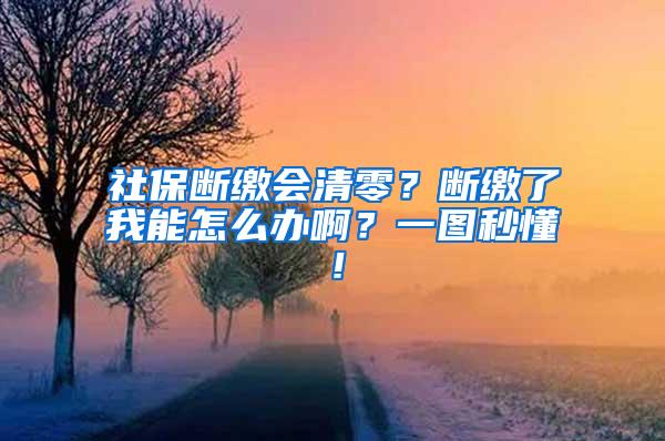 社保断缴会清零？断缴了我能怎么办啊？一图秒懂！