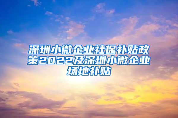 深圳小微企业社保补贴政策2022及深圳小微企业场地补贴