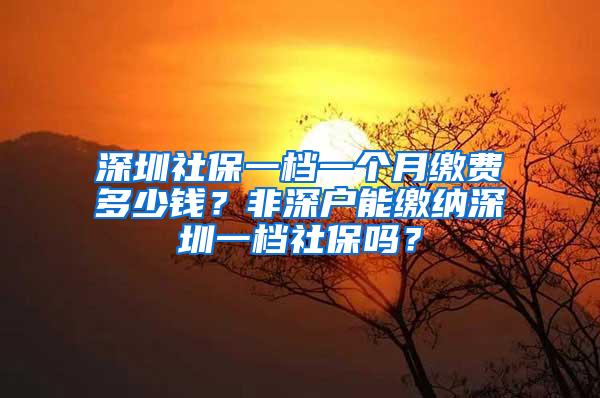 深圳社保一档一个月缴费多少钱？非深户能缴纳深圳一档社保吗？