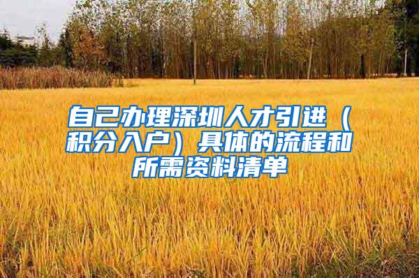 自己办理深圳人才引进（积分入户）具体的流程和所需资料清单