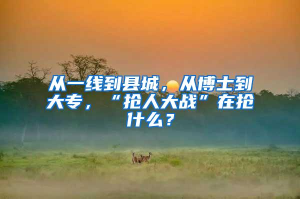 从一线到县城，从博士到大专，“抢人大战”在抢什么？