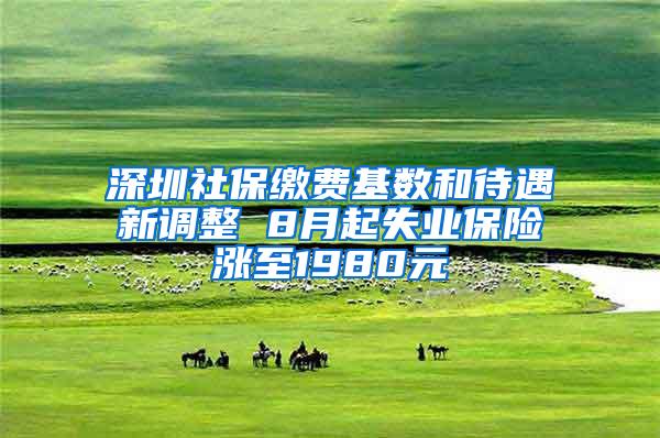 深圳社保缴费基数和待遇新调整 8月起失业保险涨至1980元