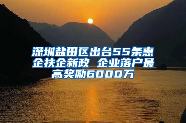 深圳盐田区出台55条惠企扶企新政 企业落户最高奖励6000万