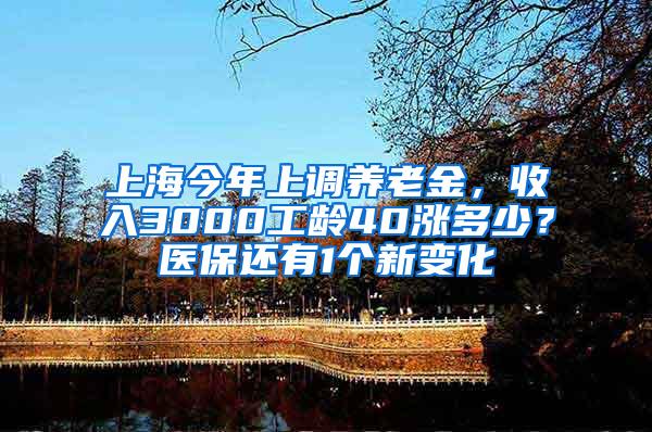 上海今年上调养老金，收入3000工龄40涨多少？医保还有1个新变化