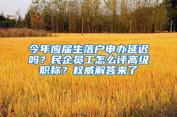 今年应届生落户申办延迟吗？民企员工怎么评高级职称？权威解答来了