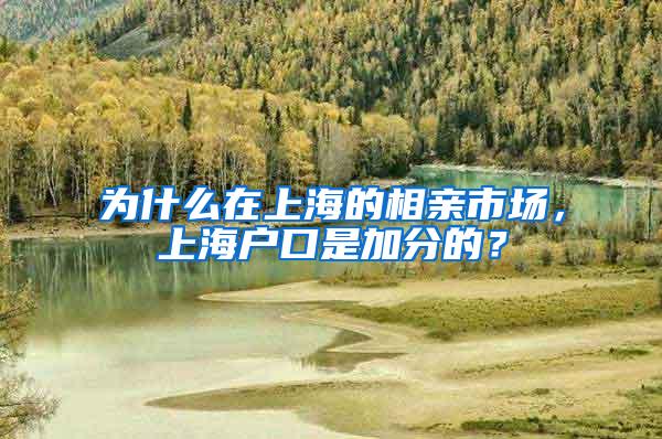 为什么在上海的相亲市场，上海户口是加分的？