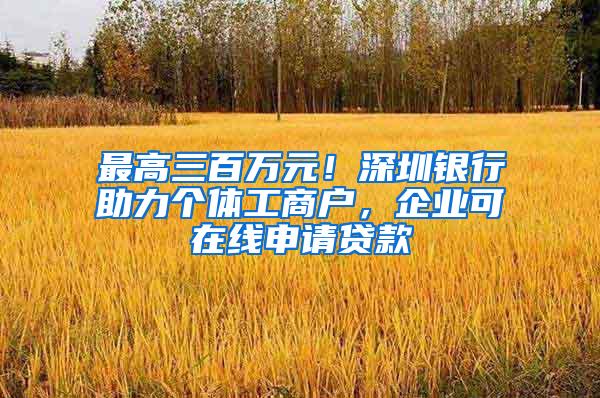 最高三百万元！深圳银行助力个体工商户，企业可在线申请贷款