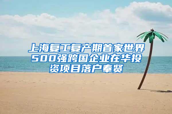 上海复工复产期首家世界500强跨国企业在华投资项目落户奉贤