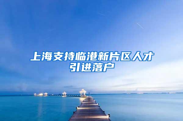 上海支持临港新片区人才引进落户