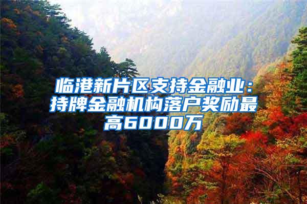 临港新片区支持金融业：持牌金融机构落户奖励最高6000万