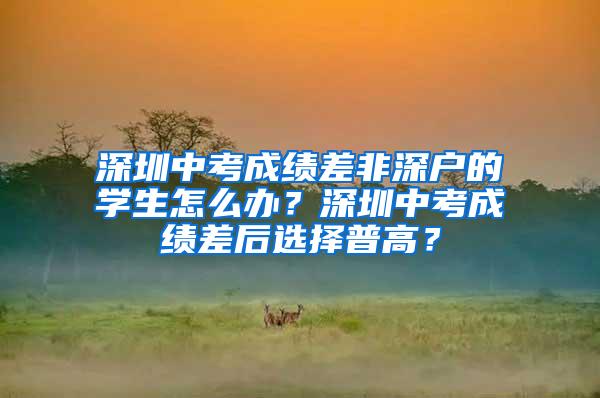 深圳中考成绩差非深户的学生怎么办？深圳中考成绩差后选择普高？