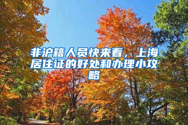 非沪籍人员快来看，上海居住证的好处和办理小攻略