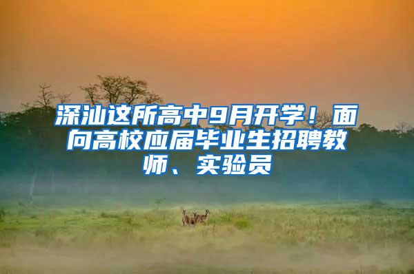 深汕这所高中9月开学！面向高校应届毕业生招聘教师、实验员