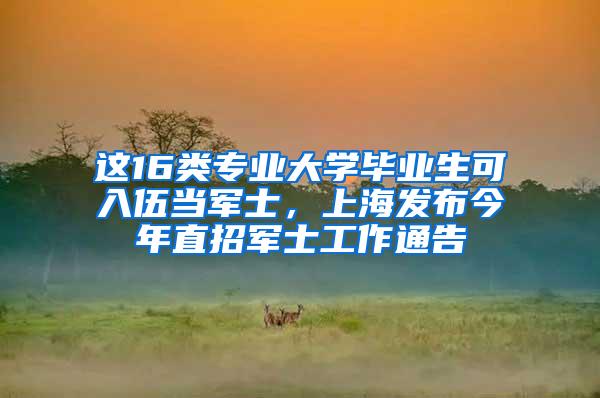 这16类专业大学毕业生可入伍当军士，上海发布今年直招军士工作通告