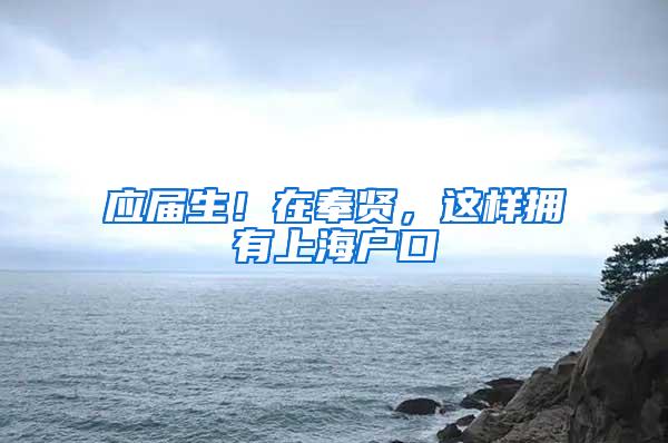 应届生！在奉贤，这样拥有上海户口