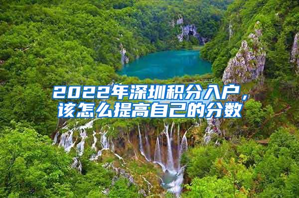 2022年深圳积分入户，该怎么提高自己的分数