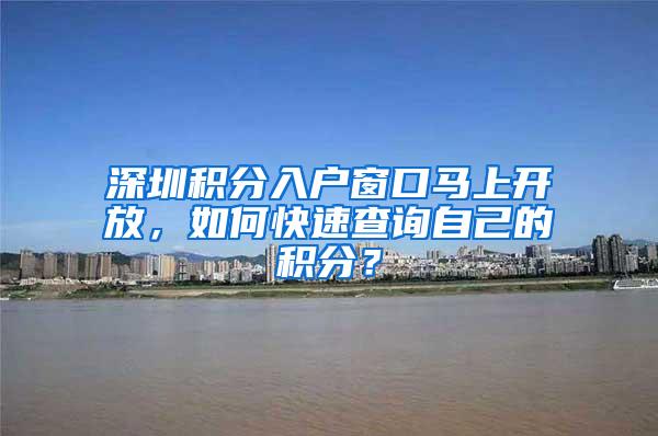 深圳积分入户窗口马上开放，如何快速查询自己的积分？