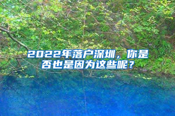 2022年落户深圳，你是否也是因为这些呢？