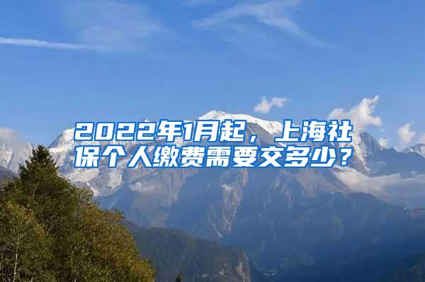 2022年1月起，上海社保个人缴费需要交多少？