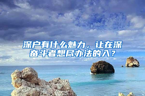 深户有什么魅力，让在深奋斗者想尽办法的入？