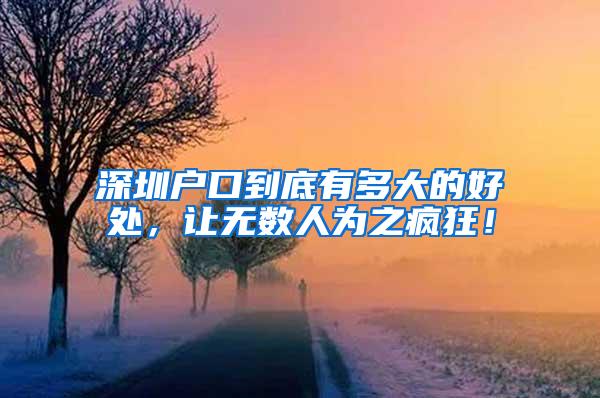 深圳户口到底有多大的好处，让无数人为之疯狂！