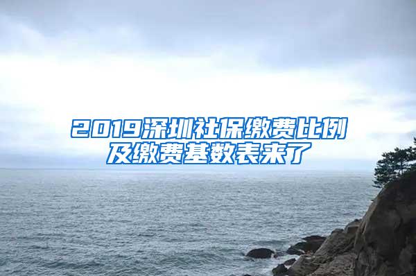 2019深圳社保缴费比例及缴费基数表来了