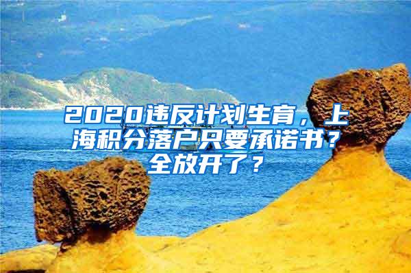 2020违反计划生育，上海积分落户只要承诺书？全放开了？