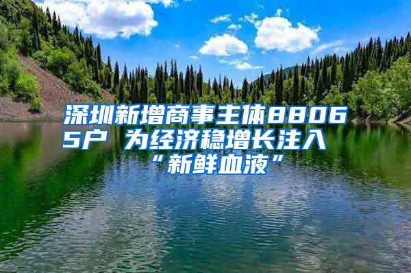 深圳新增商事主体88065户 为经济稳增长注入“新鲜血液”