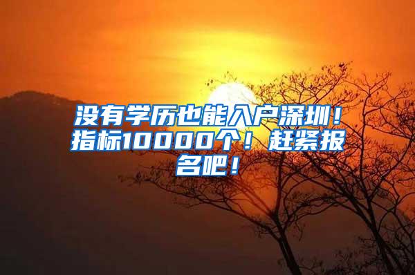 没有学历也能入户深圳！指标10000个！赶紧报名吧！