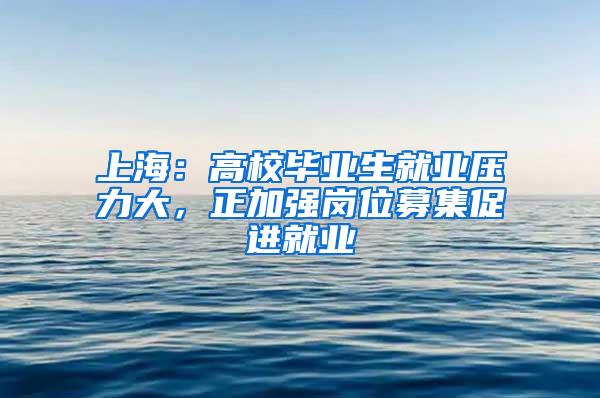 上海：高校毕业生就业压力大，正加强岗位募集促进就业