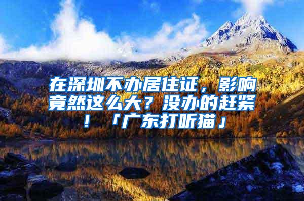 在深圳不办居住证，影响竟然这么大？没办的赶紧！「广东打听猫」