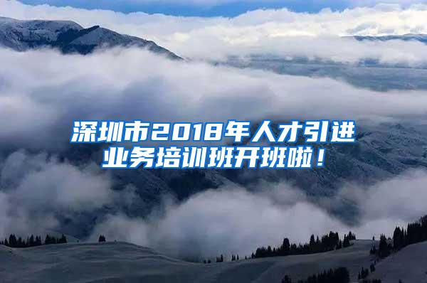 深圳市2018年人才引进业务培训班开班啦！