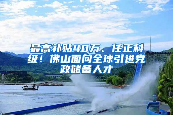 最高补贴40万、任正科级！佛山面向全球引进党政储备人才